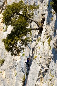 2017-04-buis-les-baronnies-seb-10