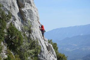 2017-04-buis-les-baronnies-seb-15