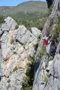 2017-04-buis-les-baronnies-seb-22